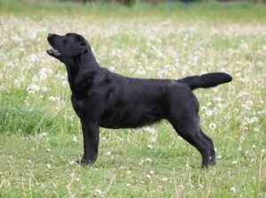 Future Hope of Benison Future Hope of Benison