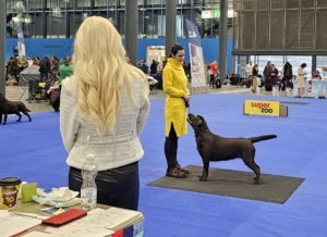 Fair Play Benison Fair Play Benison